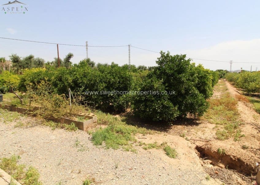 Finca/Casa Rural de 6 habitaciones en Elche / Elx en venta con piscina garaje - 350.000 € (Ref: 9571664)