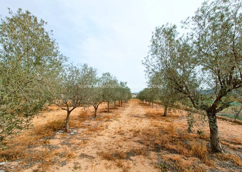 4 Zimmer Finca/Landgut zu verkaufen in Hondon de los Frailes mit Pool Garage - 180.000 € (Ref: 9571672)