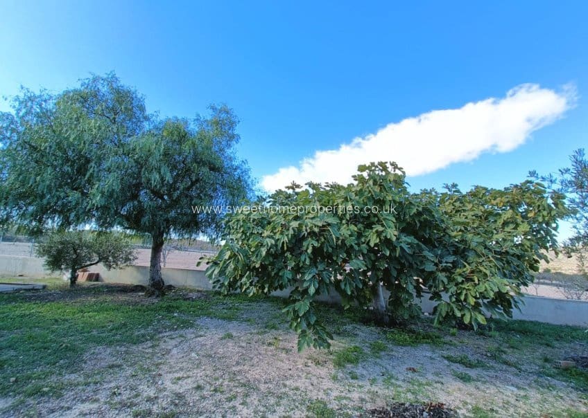 4 soverom Finca/Herregård til salgs i Hondon de los Frailes med svømmebasseng - € 245 000 (Ref: 9571679)