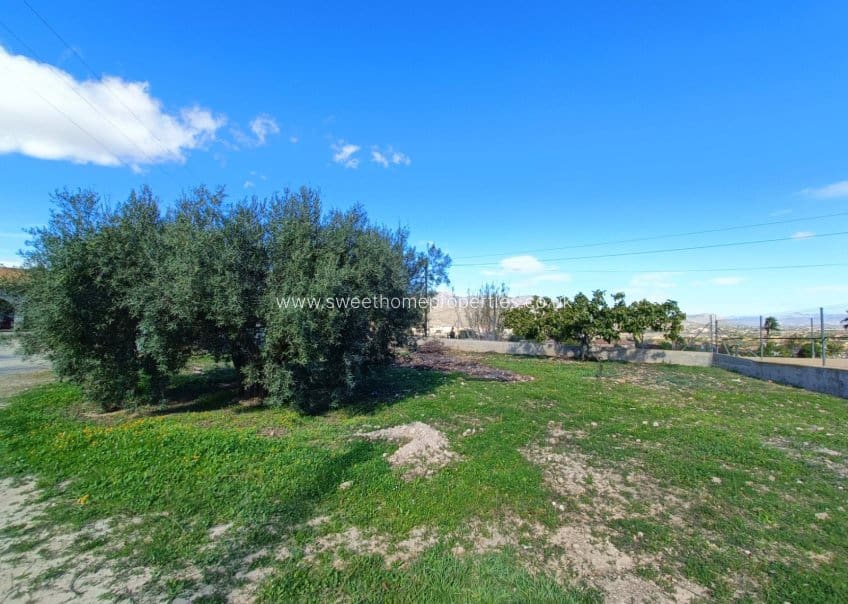 4 soverom Finca/Herregård til salgs i Hondon de los Frailes med svømmebasseng - € 245 000 (Ref: 9571679)