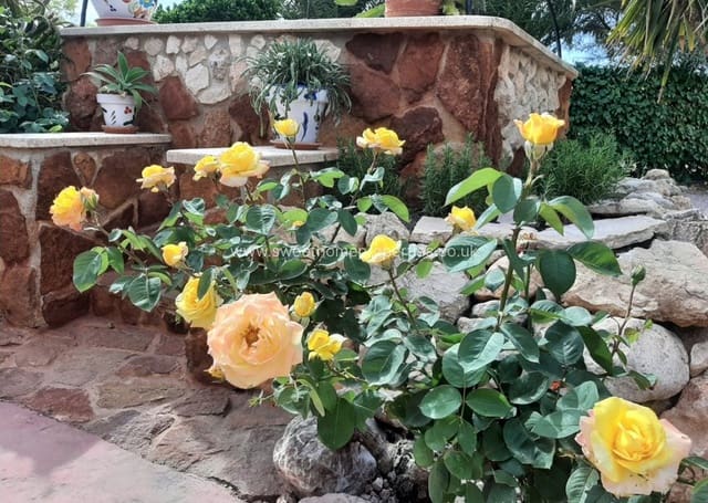 Finca/Casa Rural de 6 habitaciones en Hondón de los Frailes en venta - 850.000 € (Ref: 9571690)