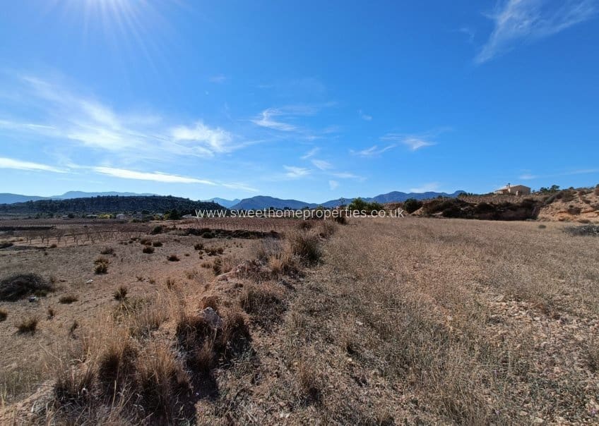 3 soverom Finca/Herregård til salgs i La Romana med svømmebasseng garasje - € 525 000 (Ref: 9571699)