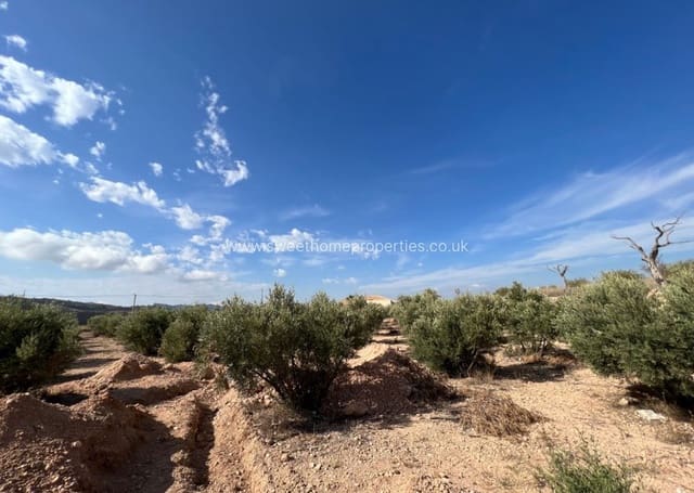 3 soverom Finca/Herregård til salgs i Macisvenda, Abanilla med svømmebasseng garasje - € 300 000 (Ref: 9571702)