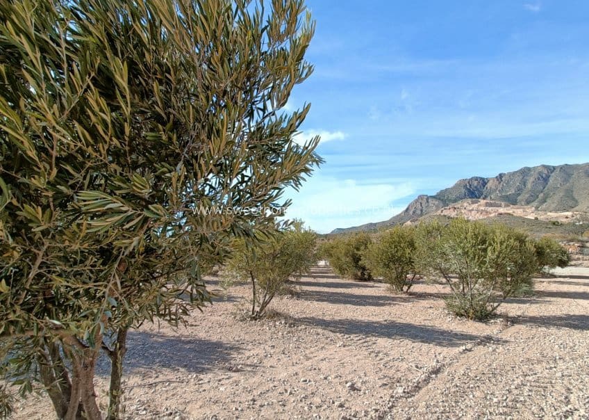 3 makuuhuone Maalaistalo myytävänä paikassa Macisvenda mukana uima-altaan 
autotalli - 300 000 € (Ref: 9571702)