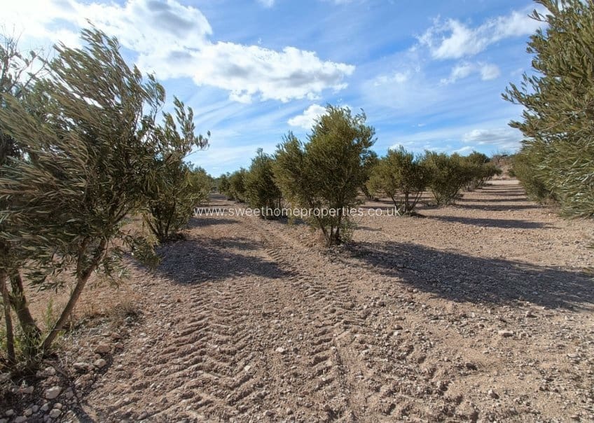 3 makuuhuone Maalaistalo myytävänä paikassa Macisvenda mukana uima-altaan 
autotalli - 300 000 € (Ref: 9571702)