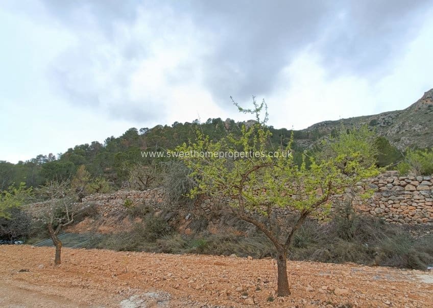 4 chambre Finca/Maison de Campagne à vendre à La Romana avec piscine garage - 450 000 € (Ref: 9571704)