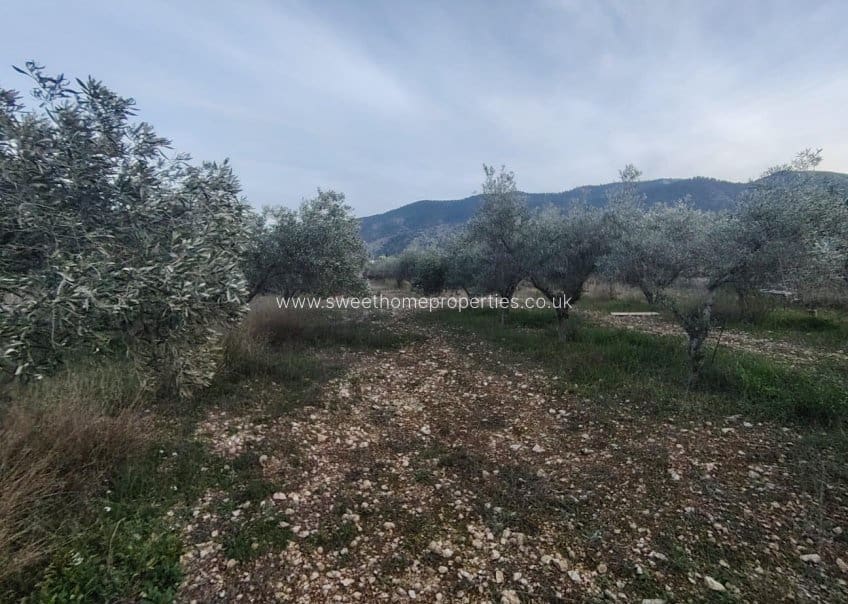 Finca/Casa Rural de 2 habitaciones en Hondón de las Nieves en venta con piscina garaje - 150.000 € (Ref: 9571716)