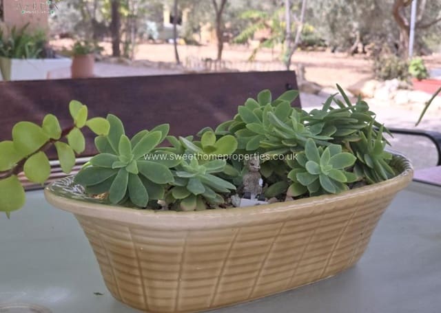 2 makuuhuone Maalaistalo myytävänä paikassa Hondón de los Frailes mukana uima-altaan 
autotalli - 167 000 € (Ref: 9571723)