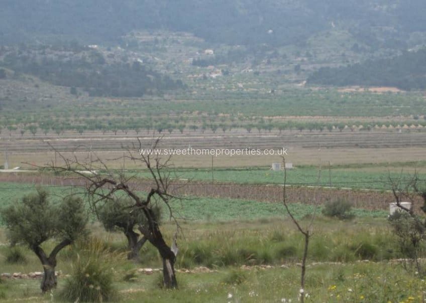 Terrain à Bâtir à vendre à Hondon de las Nieves - 14 000 € (Ref: 9572105)