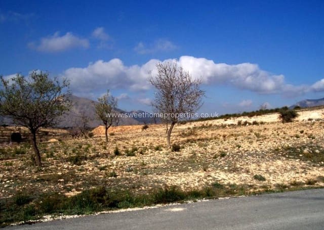 Area Edificabile in vendita in Hondón de los Frailes - 10.000 € (Rif: 9572107)