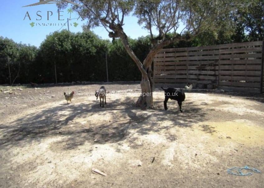 4 quarto Quinta/Casa Rural para venda em Aspe com piscina garagem - 390 000 € (Ref: 9585107)