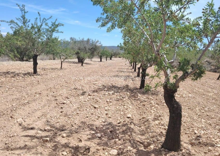 Building Plot for sale in Casas del Senor - € 15,000 (Ref: 9585117)