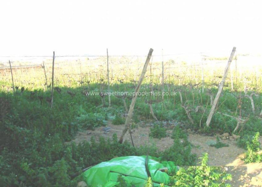 3 quarto Quinta/Casa Rural para venda em Aspe com piscina garagem - 136 000 € (Ref: 9585119)