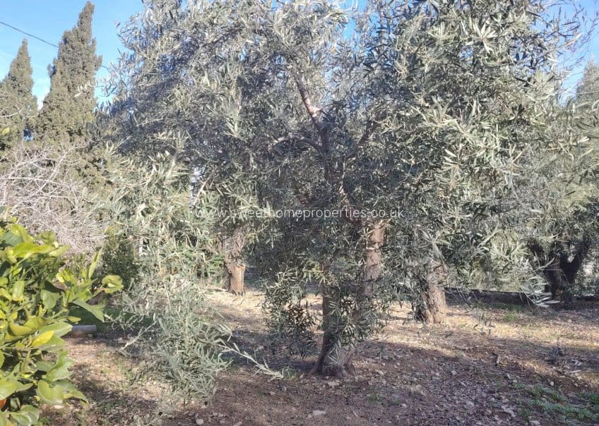 3 camera da letto Finca/Casa di Campagna in vendita in Aspe con piscina - 220.000 € (Rif: 9585120)