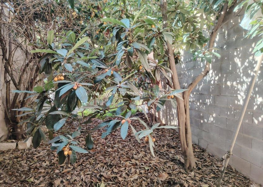 Casa de 6 habitaciones en Pinoso en venta con piscina - 150.000 € (Ref: 9585123)