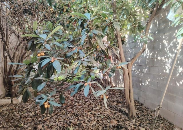 Casa de 6 habitaciones en Pinoso en venta con piscina - 150.000 € (Ref: 9585123)