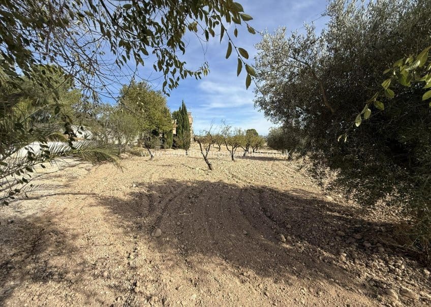 4 camera da letto Finca/Casa di Campagna in vendita in Pinoso con piscina - 180.000 € (Rif: 9631797)