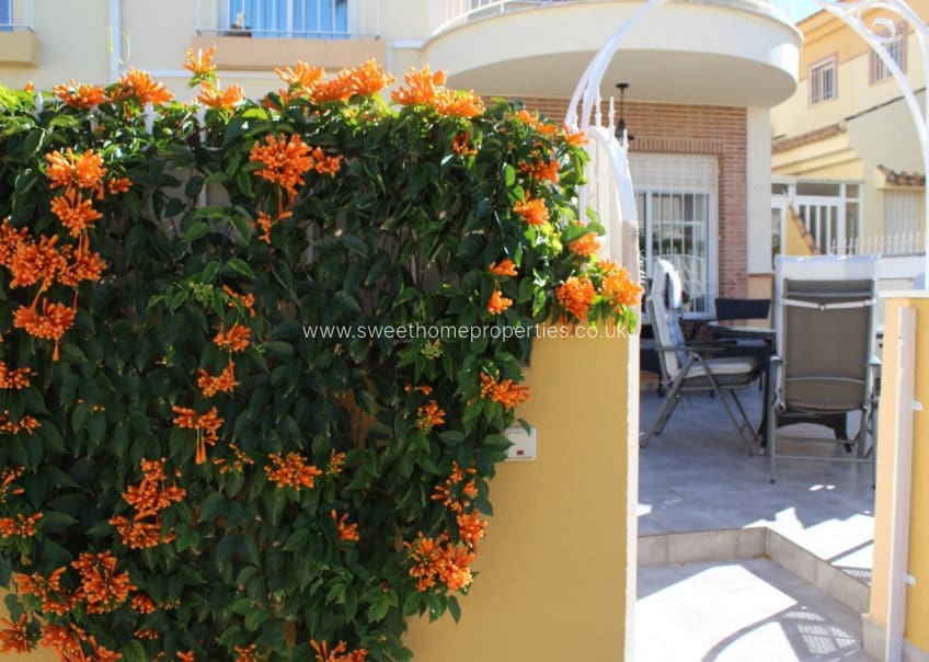 3 sypialnia Dom na sprzedaż w Villamartin z basenem garażem - 239 000 € (Ref: 9631798)