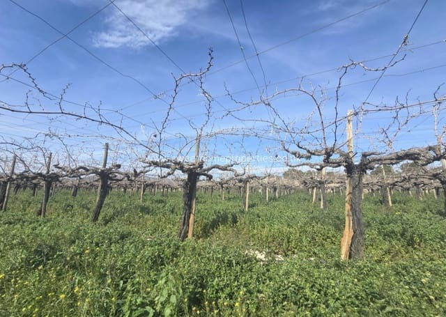 Bouwgrond te koop in Aspe - € 77.260 (Ref: 9653163)