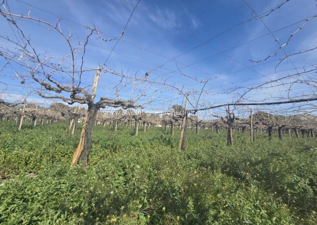 Bouwgrond te koop in Aspe - € 77.260 (Ref: 9653163)