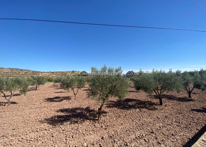 4 soveværelse Finca/Landehus til salg i Sax med swimmingpool garage - € 350.000 (Ref: 9715590)