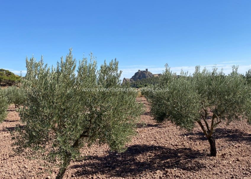 4 soveværelse Finca/Landehus til salg i Sax med swimmingpool garage - € 350.000 (Ref: 9715590)