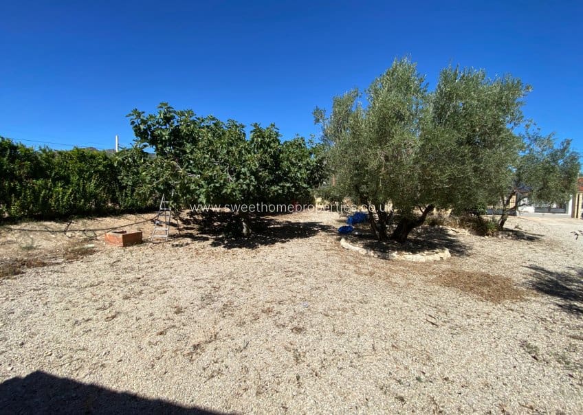 3 soveværelse Finca/Landehus til salg i Salinas med swimmingpool - € 249.999 (Ref: 9716618)