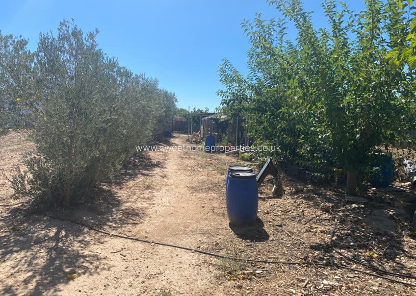 3 soveværelse Finca/Landehus til salg i Salinas med swimmingpool - € 249.999 (Ref: 9716618)