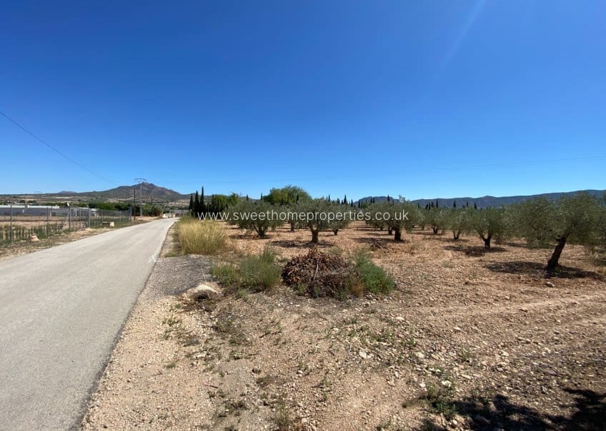 3 soveværelse Finca/Landehus til salg i Salinas med swimmingpool - € 249.999 (Ref: 9716618)