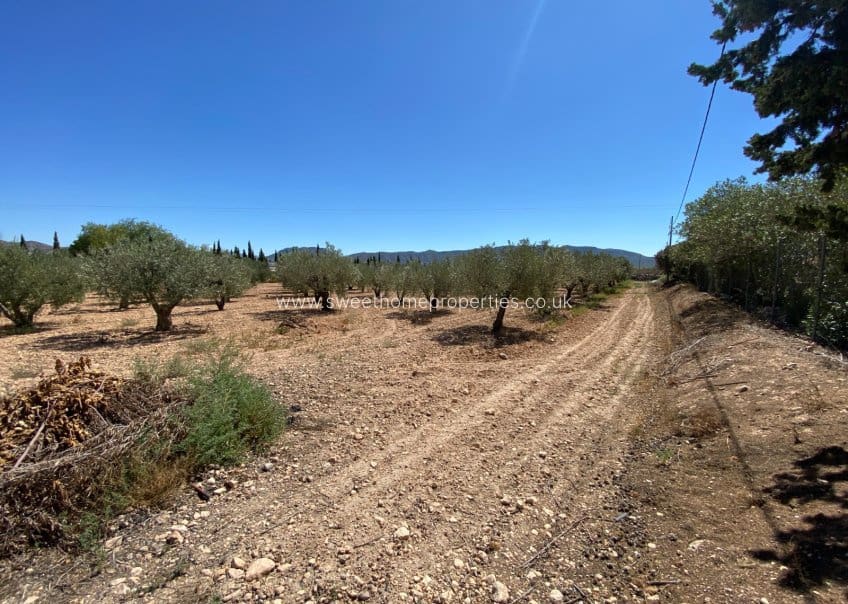 3 soveværelse Finca/Landehus til salg i Salinas med swimmingpool - € 249.999 (Ref: 9716618)