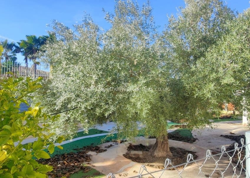 6 bedroom Finca/Country House for sale in Aspe with pool garage - € 360,000 (Ref: 9720690)