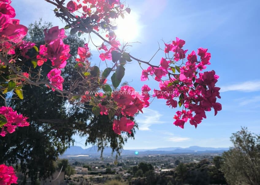 5 bedroom Finca/Country House for sale in Fortuna with pool - € 245,000 (Ref: 9733879)