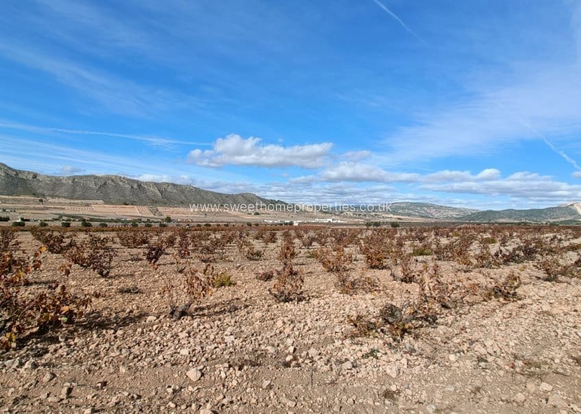 3 sovrum Finca/Hus på landet till salu i Canada de la Lena med pool garage - 400 000 € (Ref: 9749292)