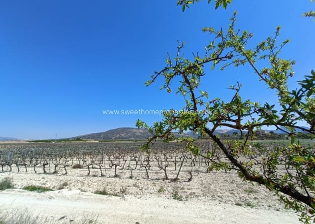 3 camera da letto Finca/Casa di Campagna in vendita in Pinoso con piscina - 425.000 € (Rif: 9783529)