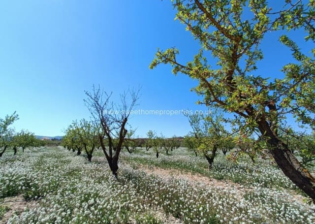 3 camera da letto Finca/Casa di Campagna in vendita in Pinoso con piscina - 425.000 € (Rif: 9783529)