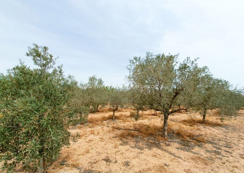 4 chambre Finca/Maison de Campagne à vendre à Hondon de los Frailes avec piscine - 180 000 € (Ref: 9795240)