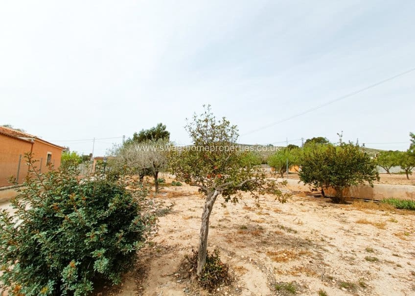 4 chambre Finca/Maison de Campagne à vendre à Hondon de los Frailes avec piscine - 180 000 € (Ref: 9795240)