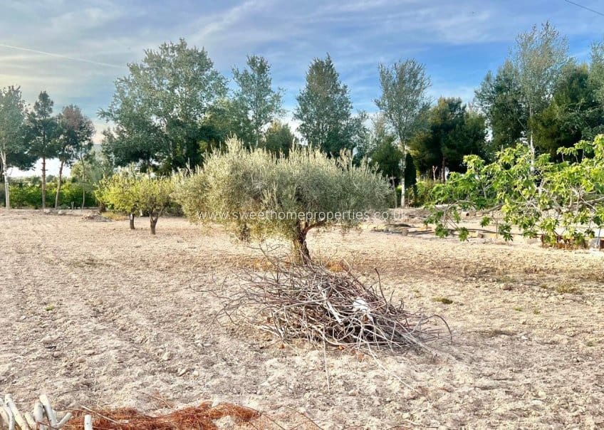 5 soveværelse Finca/Landehus til salg i Crevillente / Crevillent - € 195.000 (Ref: 9800796)