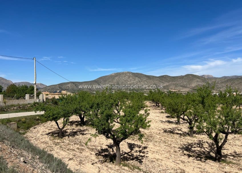 Area Edificabile in vendita in Hondon de los Frailes - 46.000 € (Rif: 9932041)