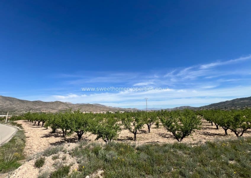 Area Edificabile in vendita in Hondon de los Frailes - 46.000 € (Rif: 9932041)