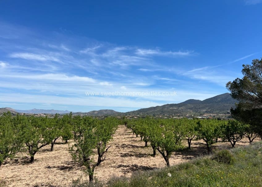 Area Edificabile in vendita in Hondon de los Frailes - 46.000 € (Rif: 9932041)