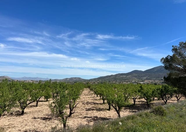 Area Edificabile in vendita in Hondón de los Frailes - 46.000 € (Rif: 9932041)