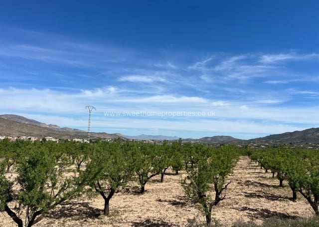 Area Edificabile in vendita in Hondón de los Frailes - 46.000 € (Rif: 9932041)