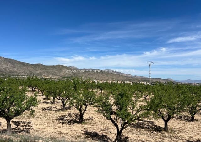 Area Edificabile in vendita in Hondón de los Frailes - 46.000 € (Rif: 9932041)