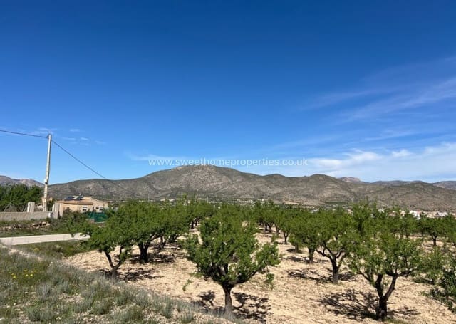 Area Edificabile in vendita in Hondón de los Frailes - 46.000 € (Rif: 9932041)