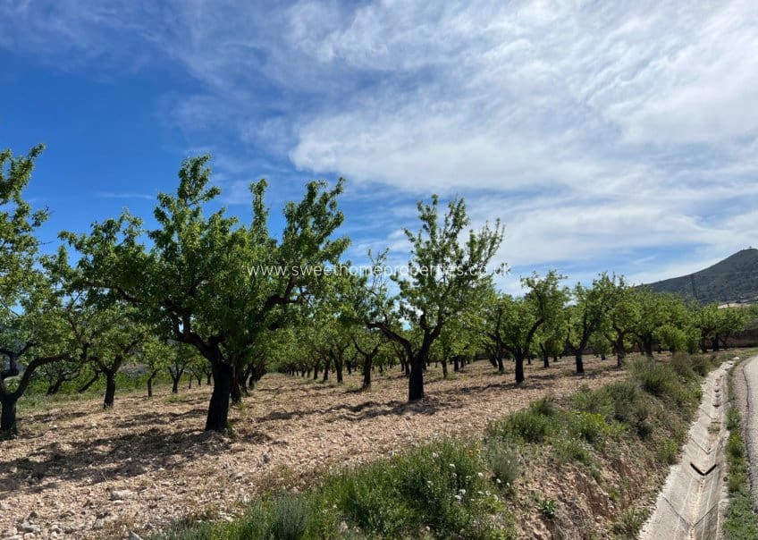 Area Edificabile in vendita in Hondon de los Frailes - 46.000 € (Rif: 9932041)