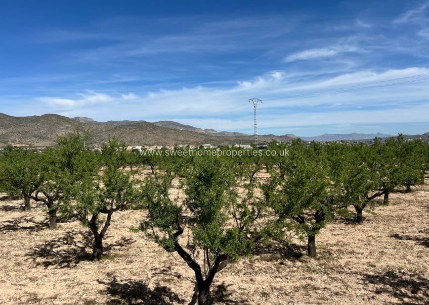 Area Edificabile in vendita in Hondon de los Frailes - 46.000 € (Rif: 9932041)