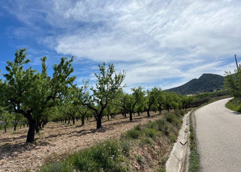 Area Edificabile in vendita in Hondon de los Frailes - 46.000 € (Rif: 9932041)