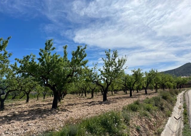Area Edificabile in vendita in Hondón de los Frailes - 46.000 € (Rif: 9932041)