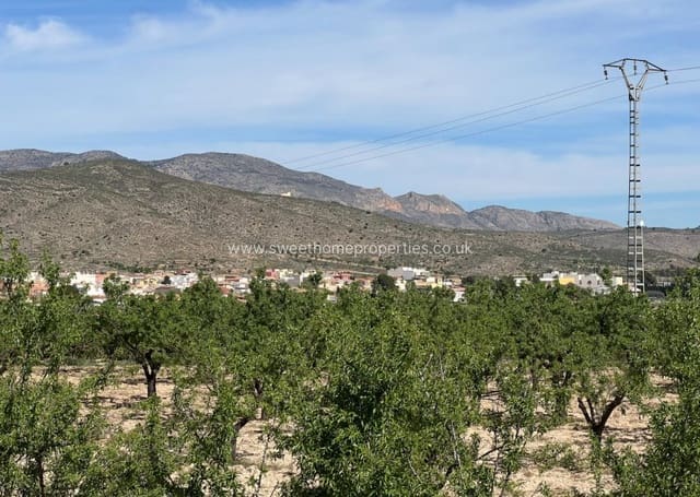 Area Edificabile in vendita in Hondón de los Frailes - 46.000 € (Rif: 9932041)